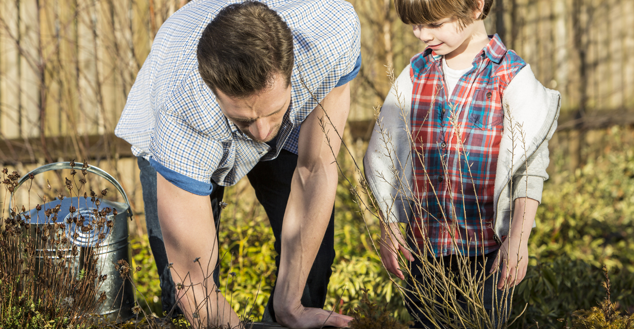 Transforming Your Outdoor Space