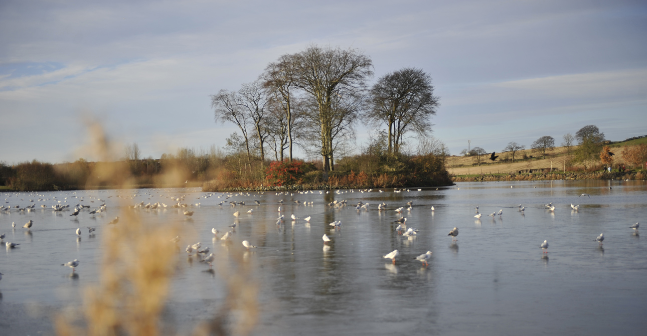 Location Location Location East Kilbride