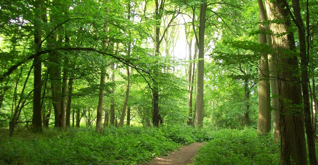 Exploring The Great Outdoors On Foot