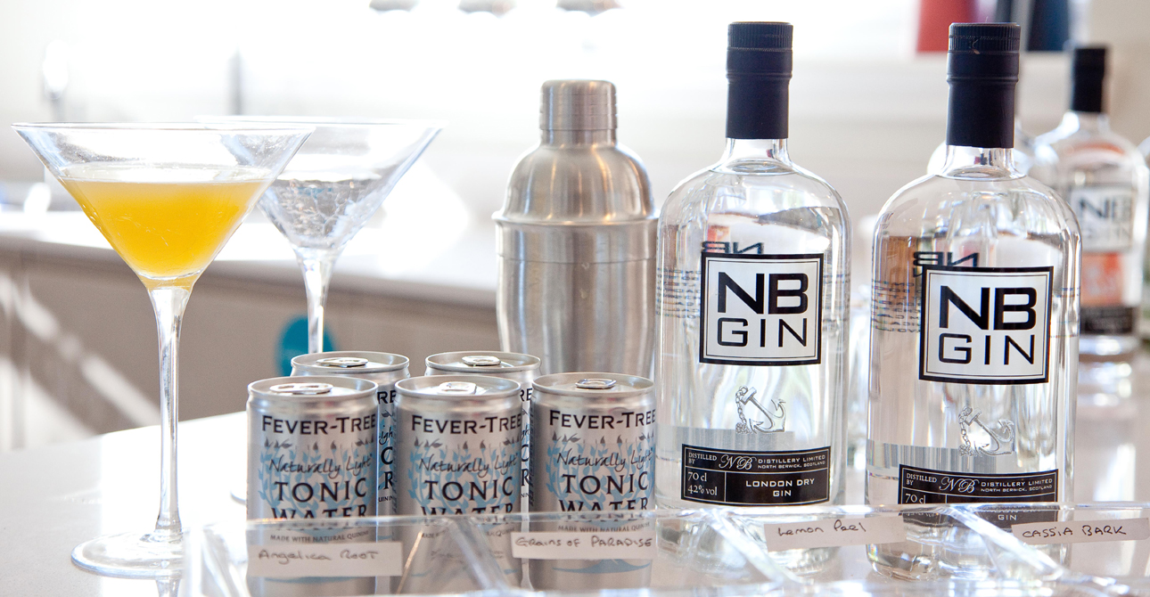 A Guide To Gin In The Home