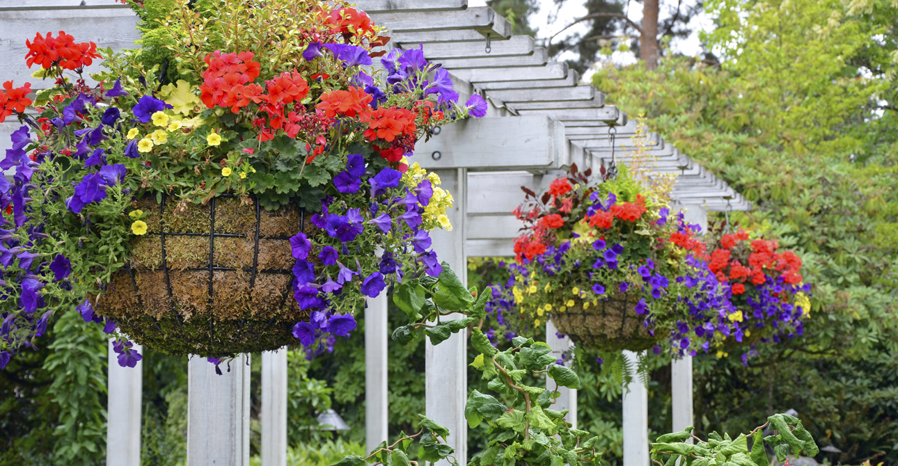 Get Your Garden Summer Ready