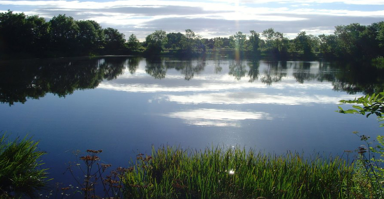 Village Life in Middleton St George