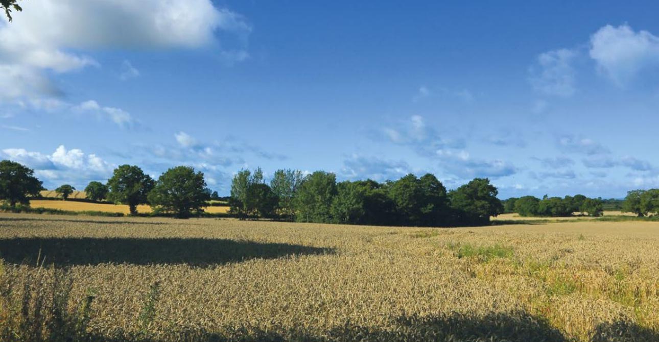 Location, Location, Location - Sandbach