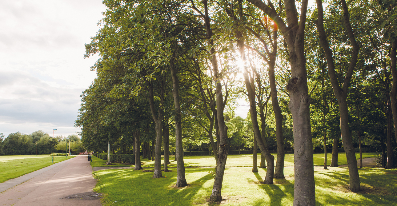 5 Ways To Spend A Day In Hebburn