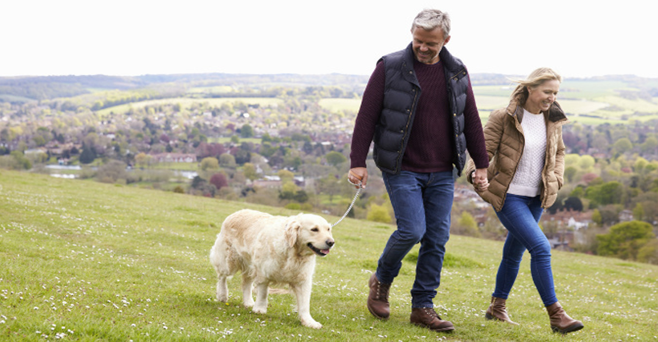 The Best Dog Walking Destinations In The UK