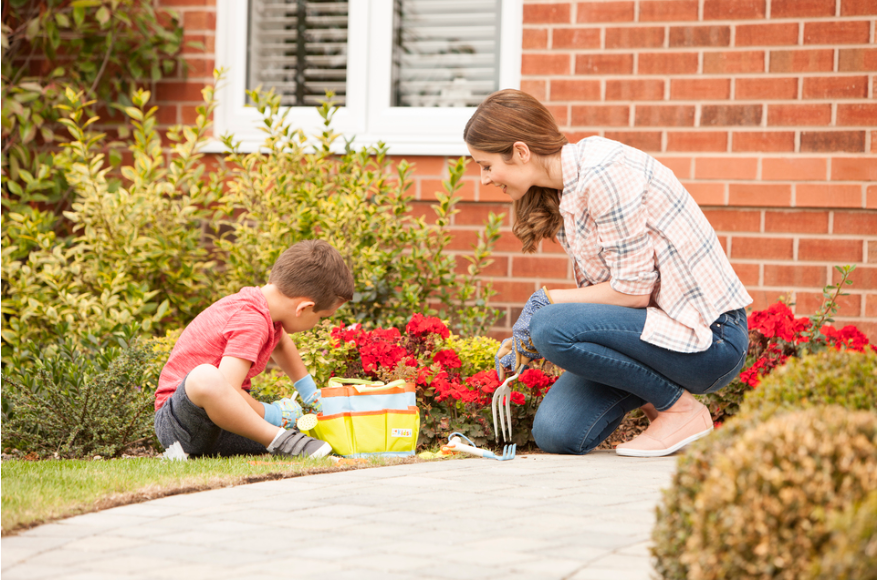 Top 5 summer bloomers every garden should have