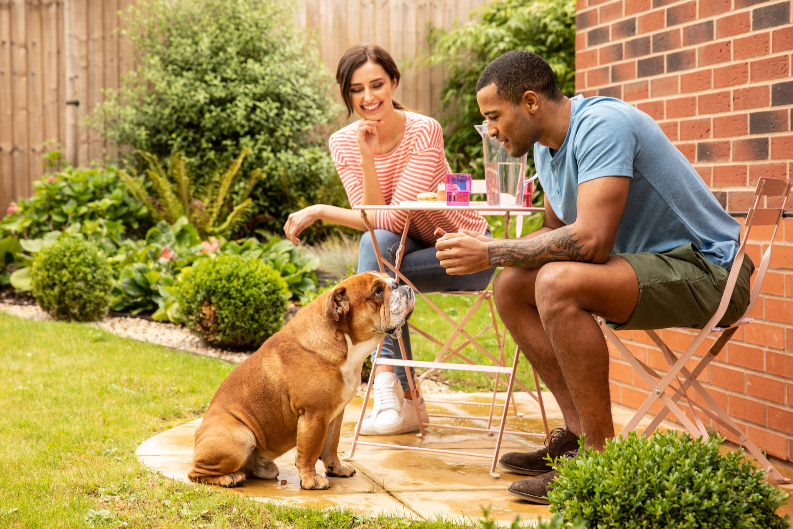 Top tips for getting your garden into shape in time for summer