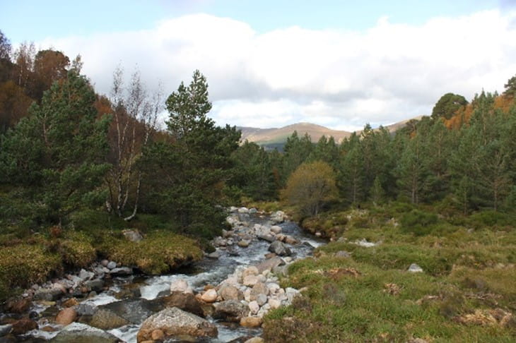 The best Scottish trails