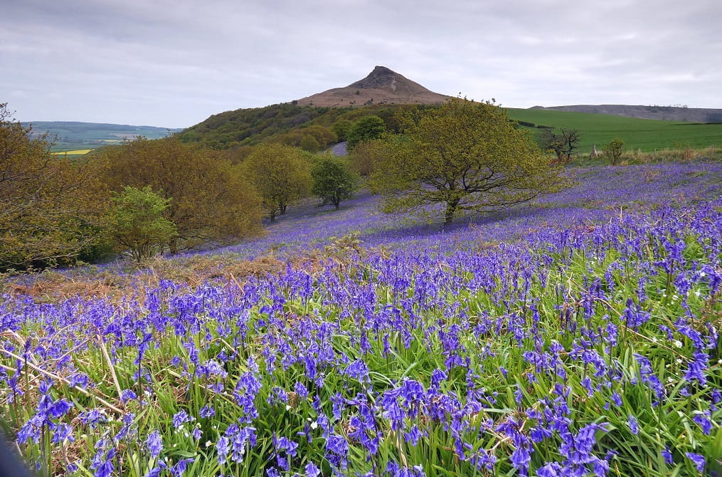 Best Things To Do in Middlesbrough: 10 Hidden Gems