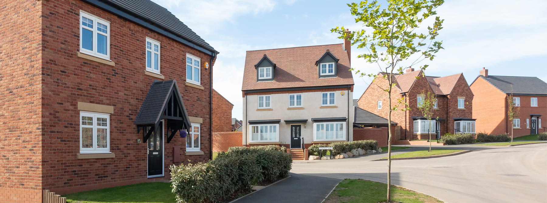 New Homes at Roman Heights