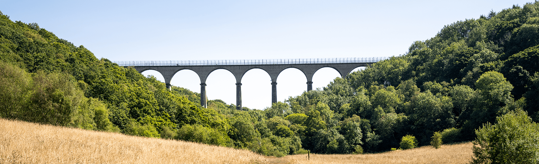 New Build Homes For Sale in Consett Miller Homes