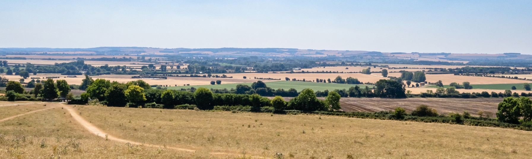 New Build Homes For Sale in Didcot Miller Homes