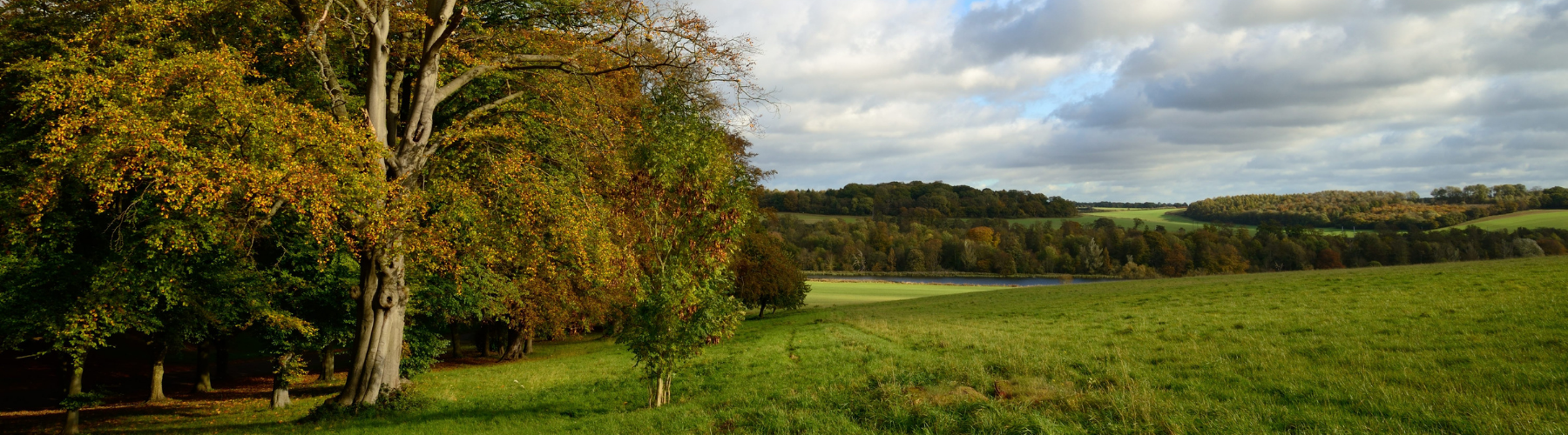 New Build Homes For Sale in Luton Miller Homes