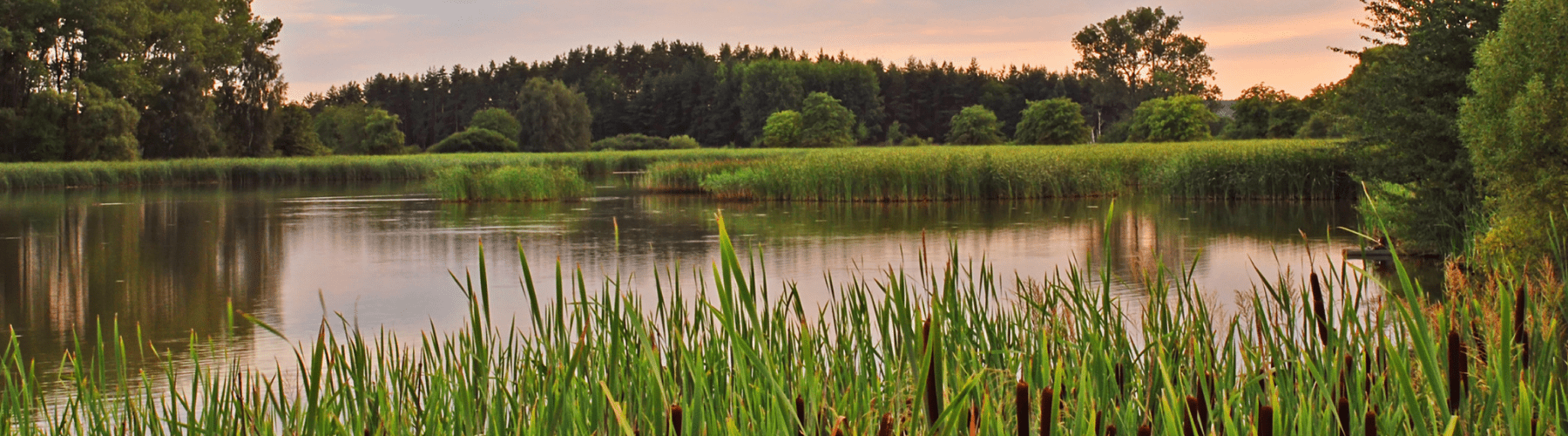 New Build Homes For Sale in Wellingborough Miller Homes