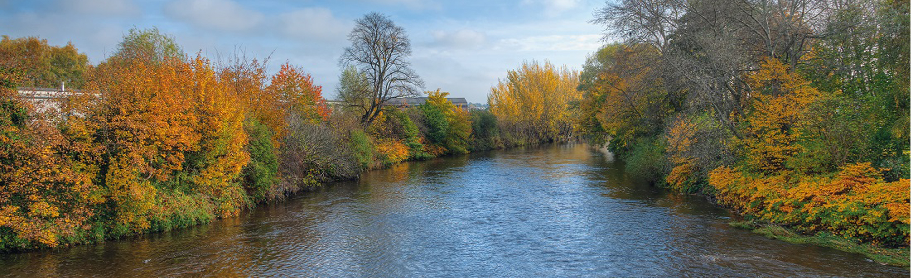 New Build Homes For Sale in Mirfield Miller Homes