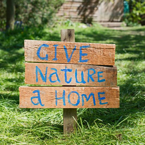 Creating Homes For Nature