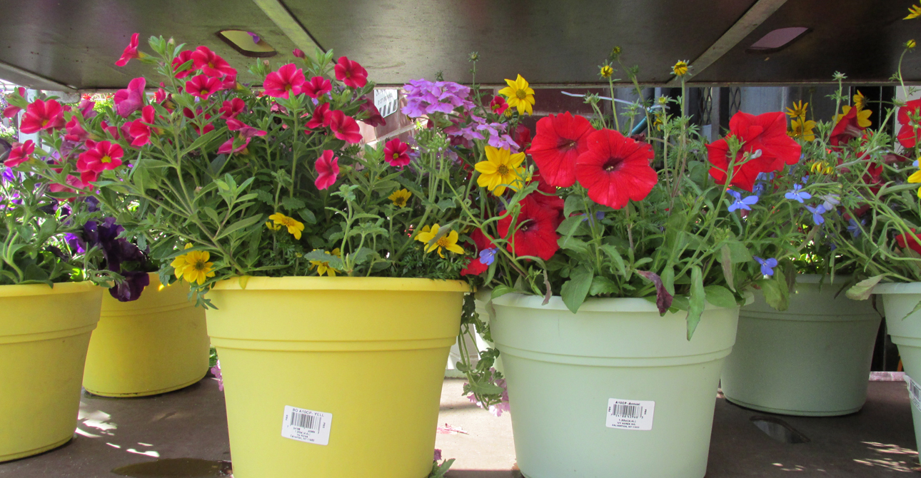 Transforming Your Outdoor Space Part 2