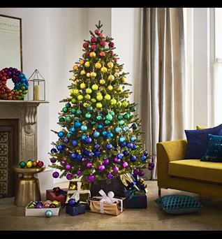 JL Rainbow tree